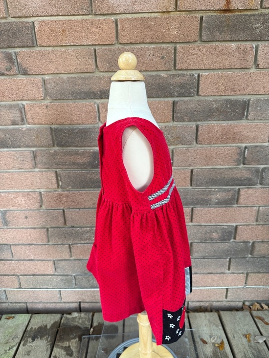 Rare Editions Red Polka Dot Dress with Dog & Gingham Trim Size 4T - Picture 4 of 6